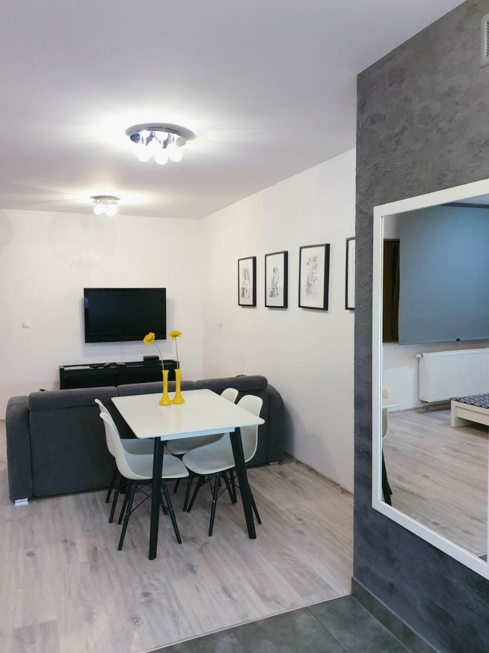 Apartament Mozaika Iii